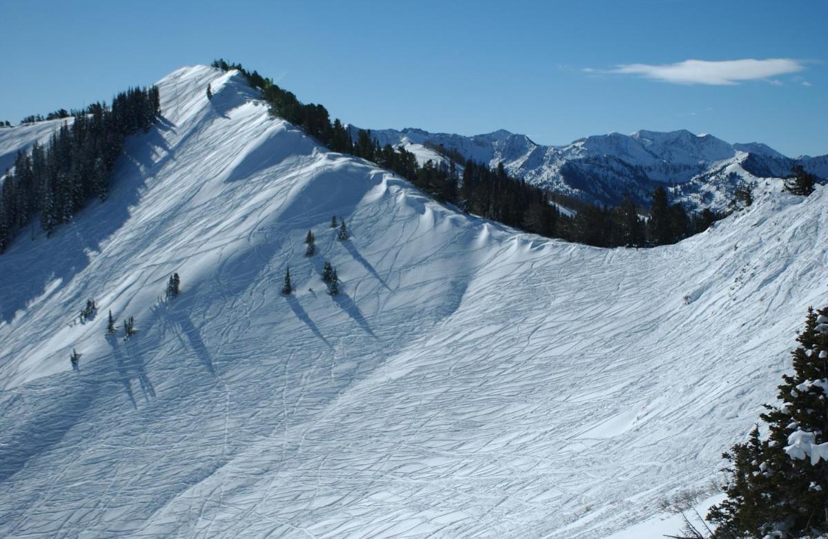 Popular attractions Area Nearby Property